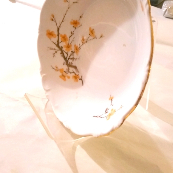 Hertel Jacob fine Bone China service for 12